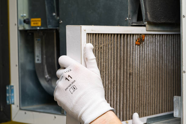 Best Local Air Duct Cleaning Services  in Western Lake, TX