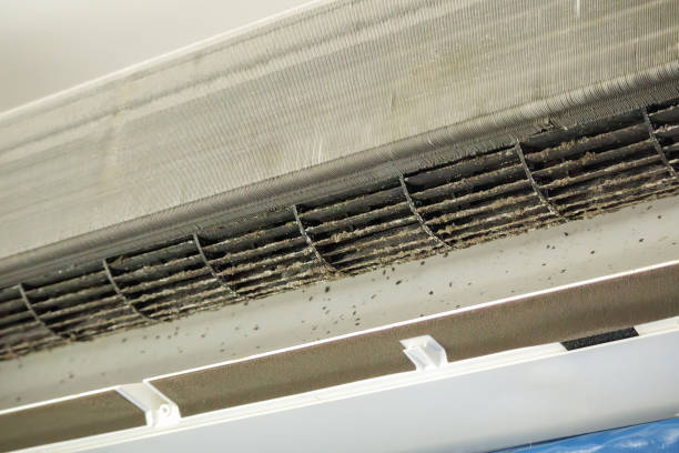 Best Commercial Air Duct Cleaning  in Western Lake, TX